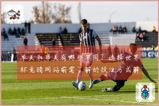 单关和串关有哪些不同？选择世界杯竞猜网站前需了解的投注方式解析