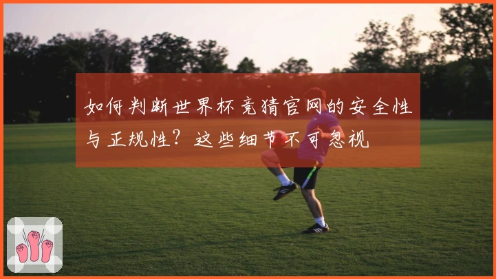 如何判断世界杯竞猜官网的安全性与正规性？这些细节不可忽视