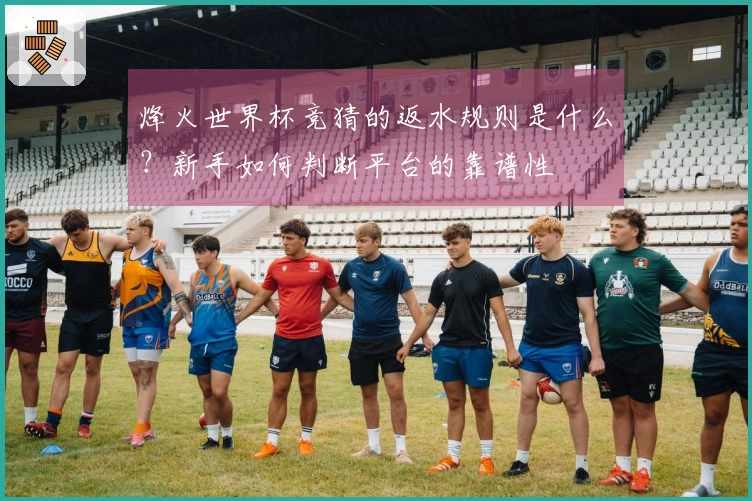烽火世界杯竞猜的返水规则是什么？新手如何判断平台的靠谱性
