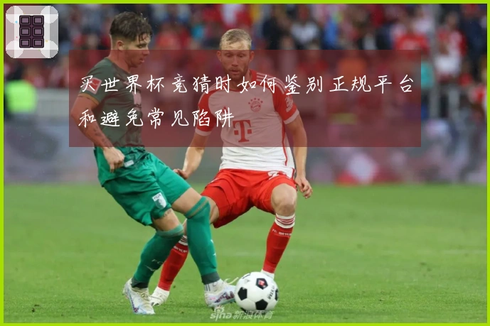 买世界杯竞猜时如何鉴别正规平台和避免常见陷阱