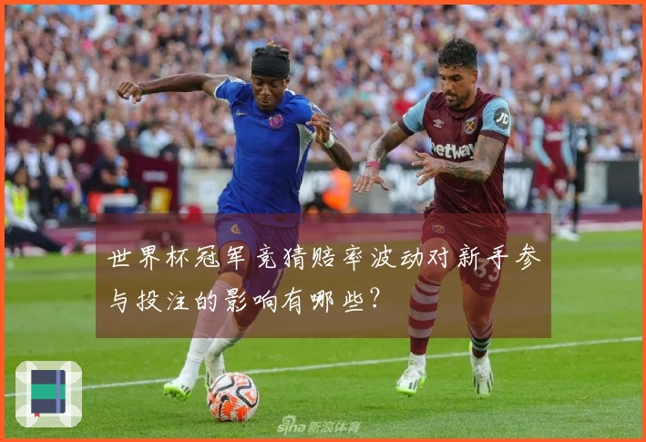 世界杯冠军竞猜赔率波动对新手参与投注的影响有哪些？